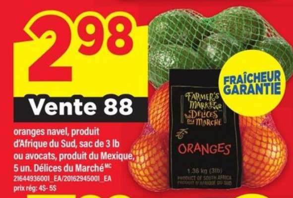 oranges navel, avocats
