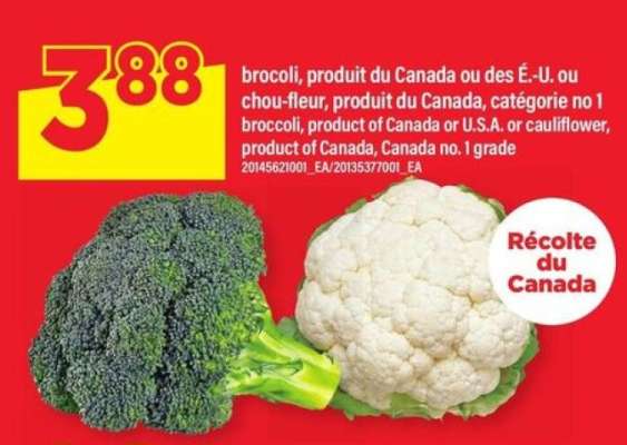Brocoli ou chou-fleur
