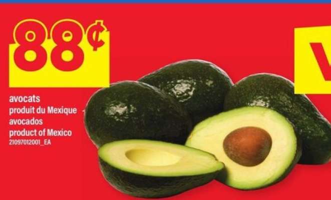 avocats