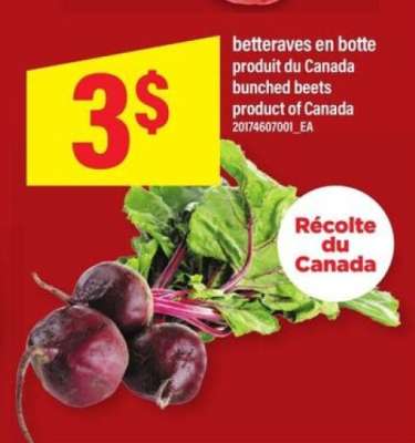 betteraves en botte